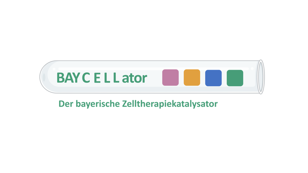 BAYCELLator: <br>Der bayerische Zelltherapiekatalysator